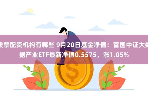 股票配资机构有哪些 9月20日基金净值：富国中证大数据产业ETF最新净值0.5575，涨1.05%