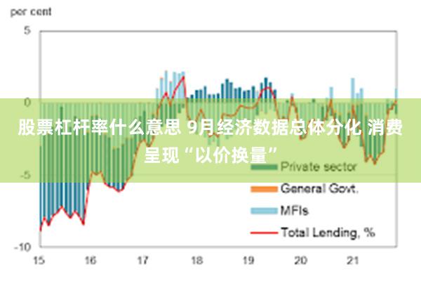 股票杠杆率什么意思 9月经济数据总体分化 消费呈现“以价换量”