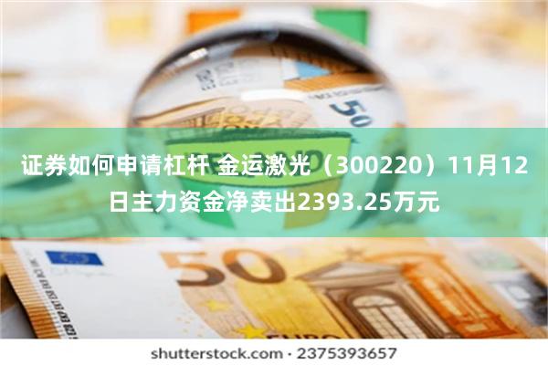 证券如何申请杠杆 金运激光（300220）11月12日主力资金净卖出2393.25万元