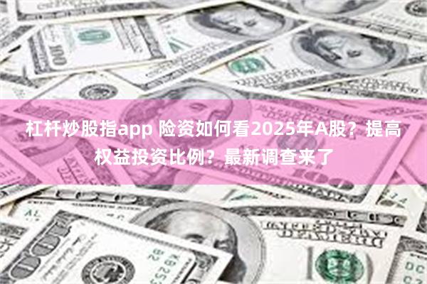 杠杆炒股指app 险资如何看2025年A股？提高权益投资比例？最新调查来了